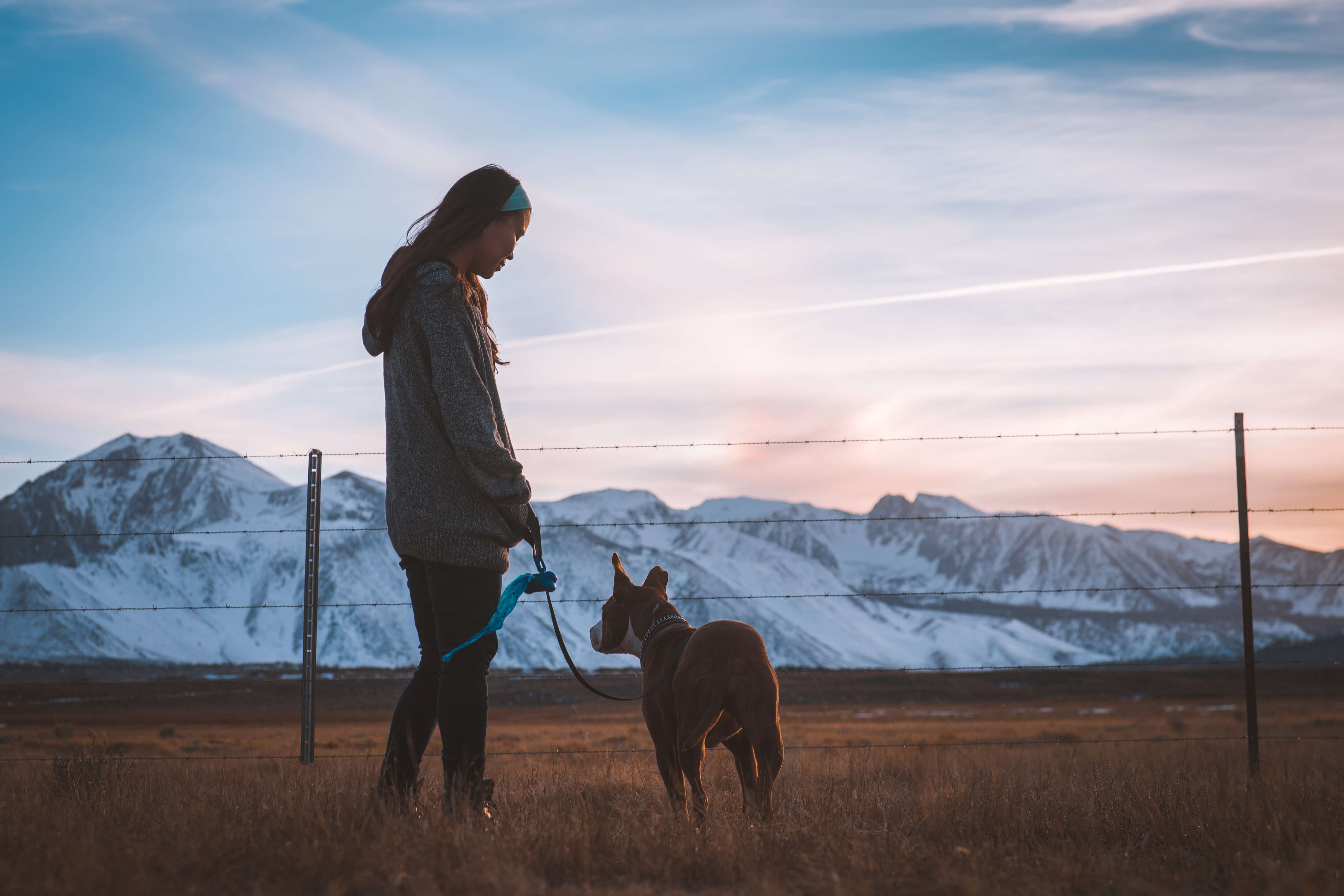 person standing with a dog in front of the mountains in Mammoth Lakes, CA